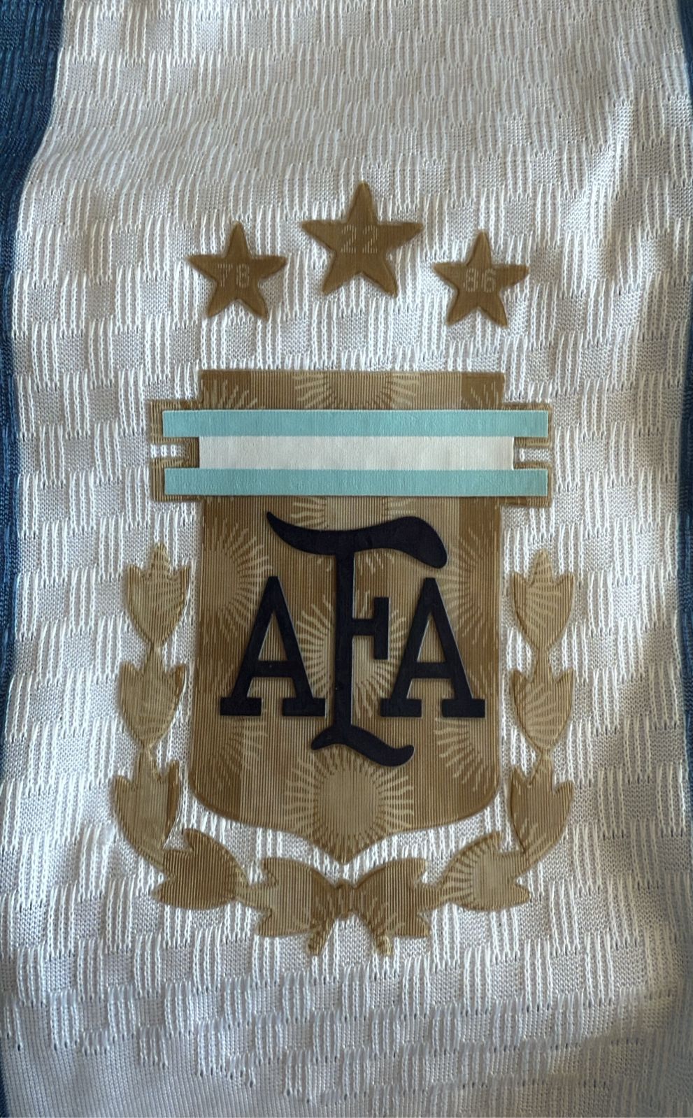 Camiseta Argentina Jugador Premium