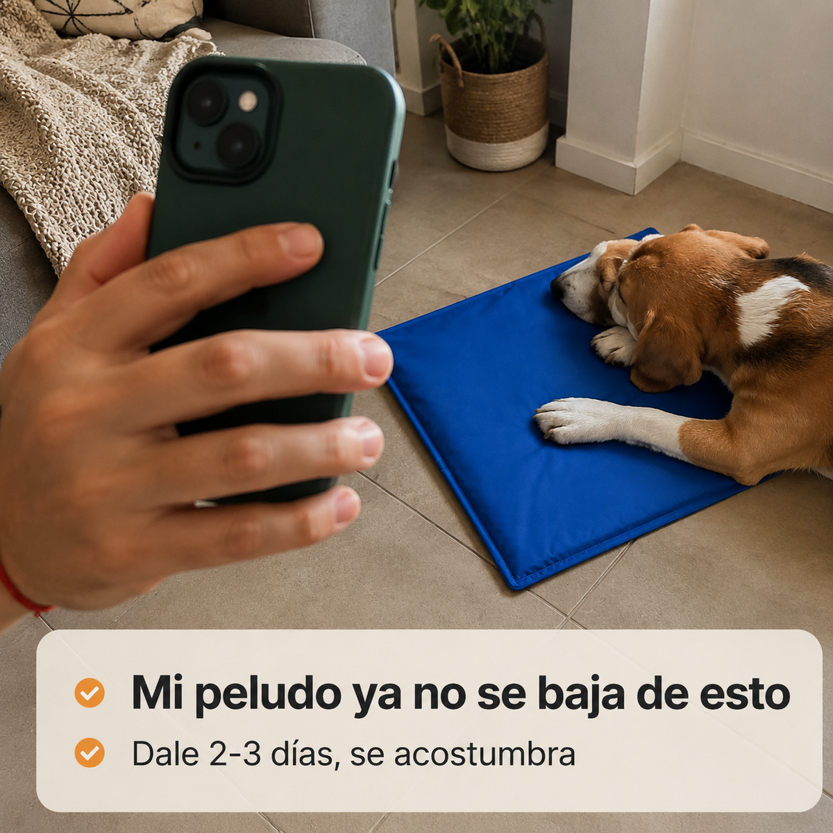 Colchon Refrescante Para Mascotas Chica - 5845 — vista 6